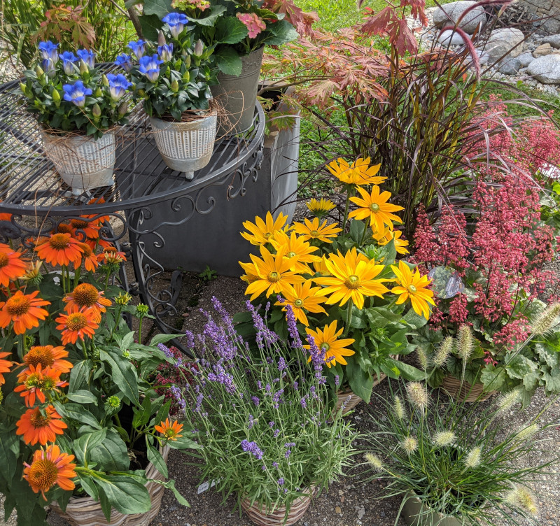 Herbstbild bei Blumen Kreativ